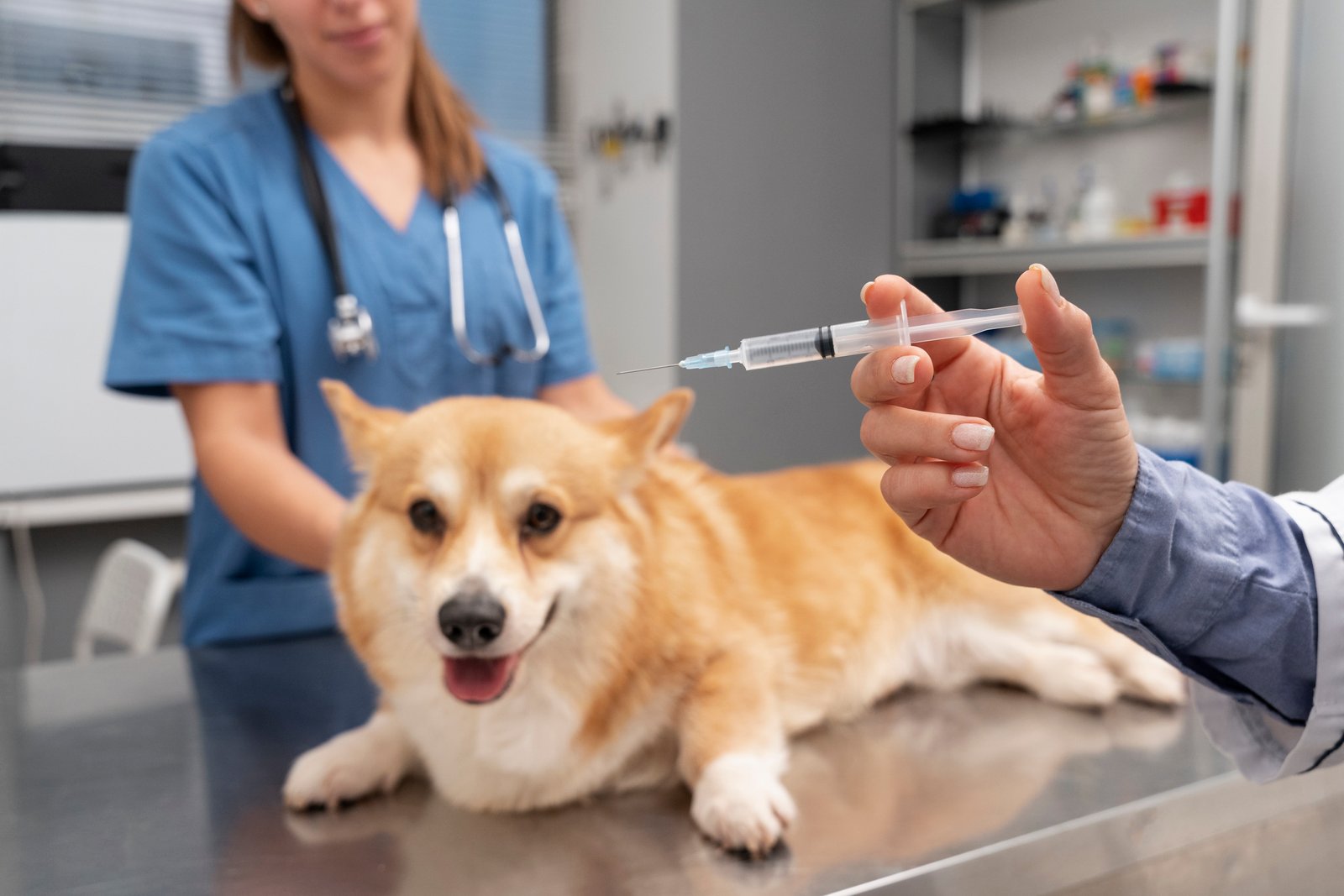 Vaccination