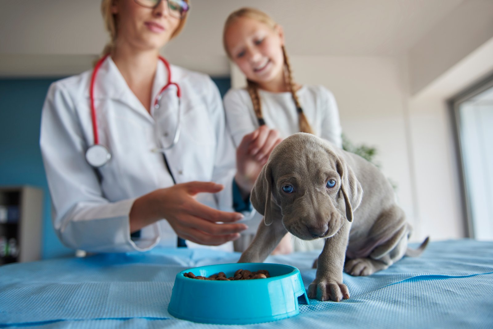 Pet Nutrition