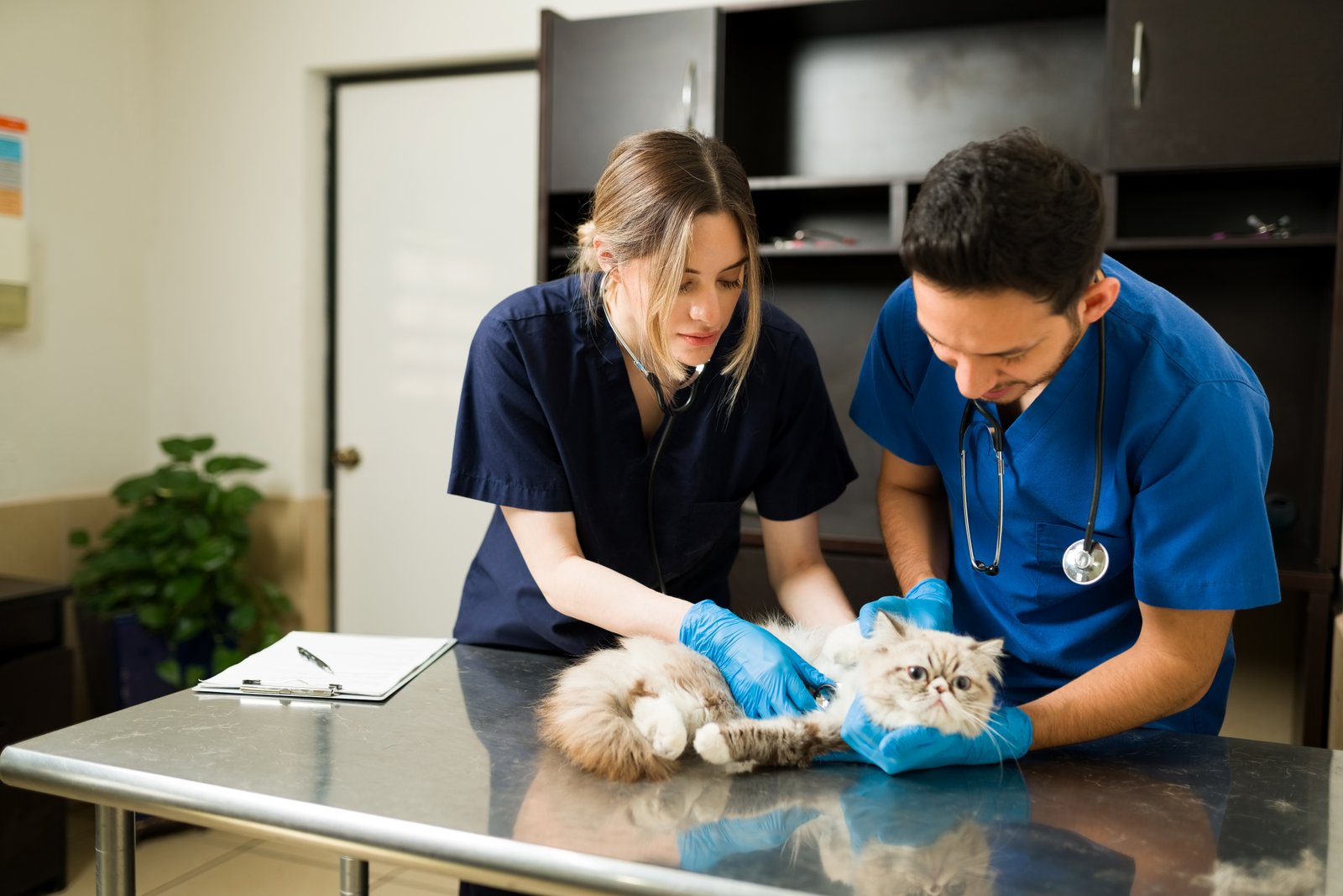 Emergency Care