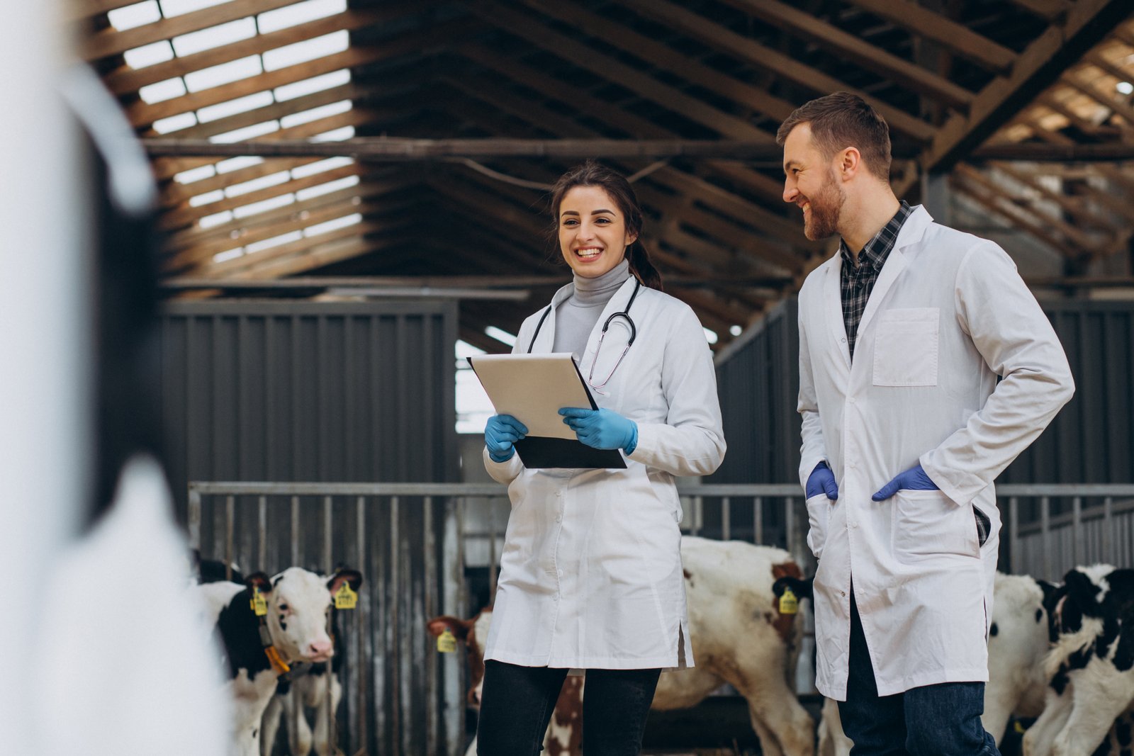 Large Animal Care
